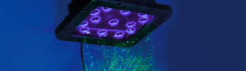 Overhead lamps for NDT inspections