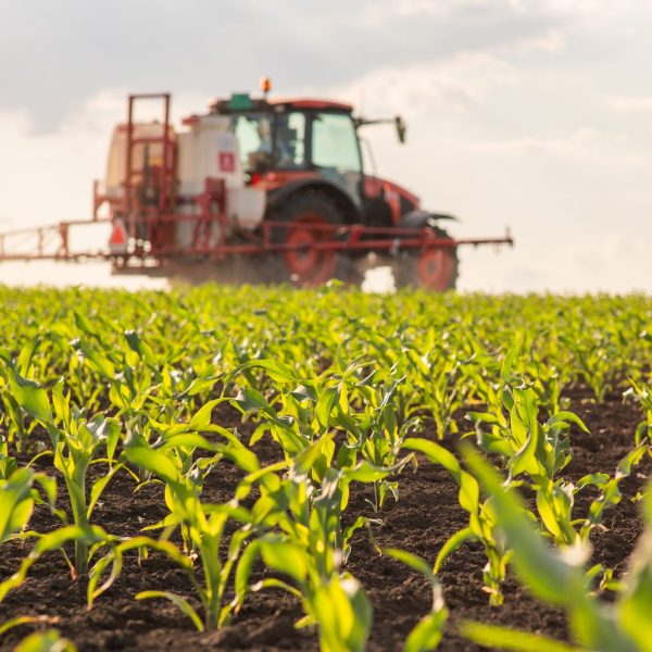 Agriculture