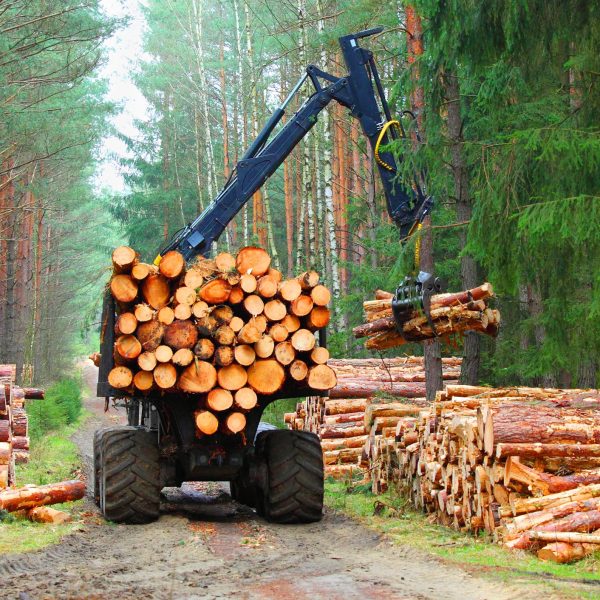 forestry construction